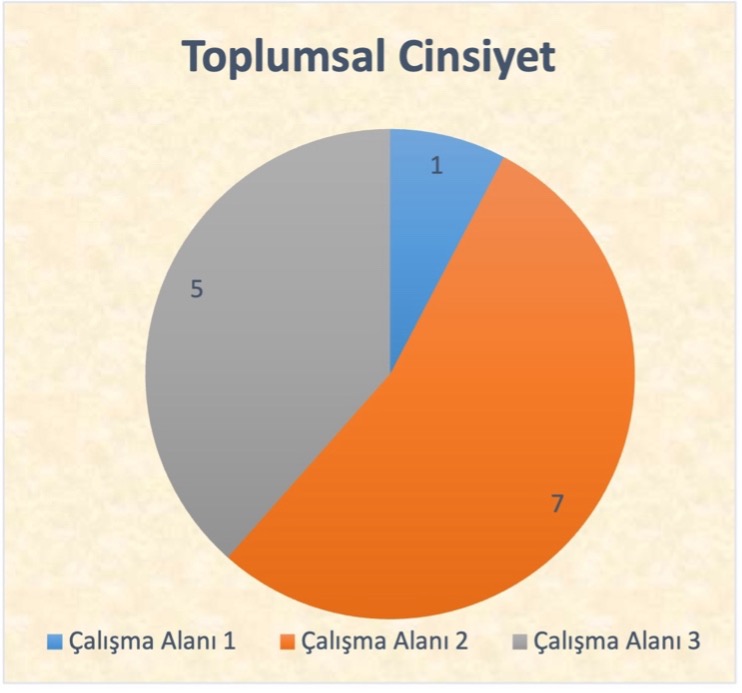 Toplumsal Cinsiyet